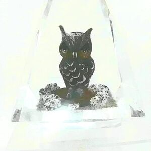 Vintage Hand Carved  Owl encased in Pyramid Geometric Lucite.